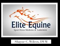 Elite Equine Sport Horse Medicine & Lameness